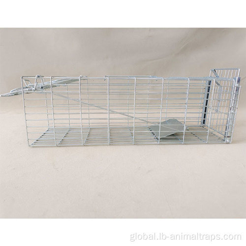 Small Animal Trap Cage Free Customized Logo Humane Mouse Trap Supplier